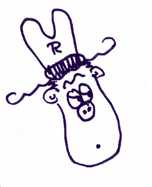 Pecktoon